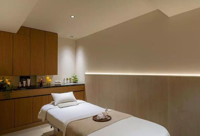 酒店 Hôtel & Spa Napoléon