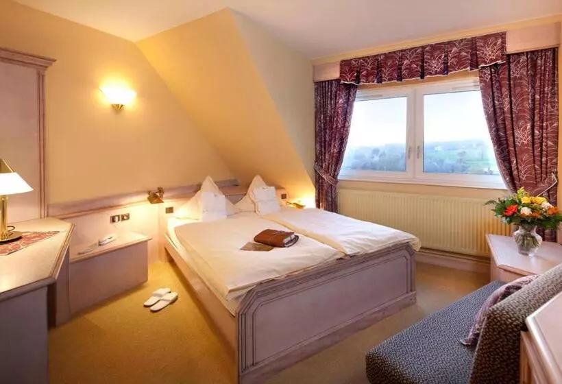 호텔 Spa Hôtel Restaurant Au Lion D Or