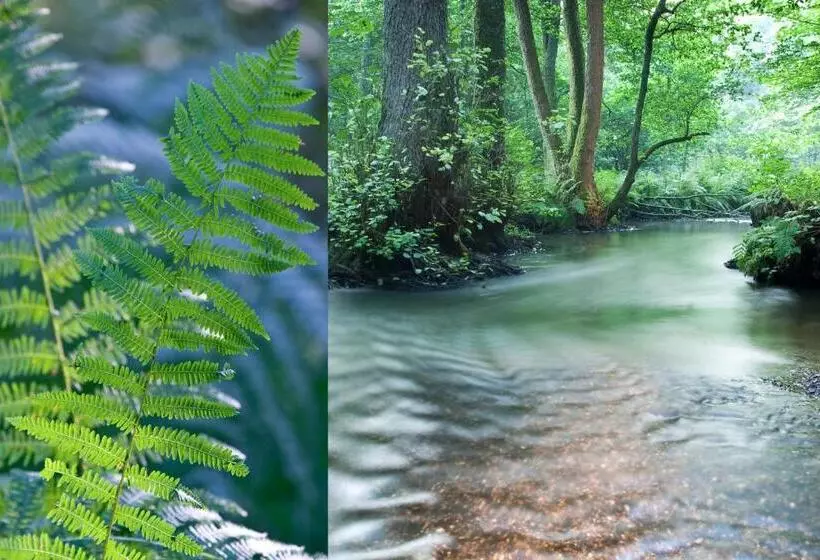 호텔 Spa Hôtel Restaurant Au Lion D Or