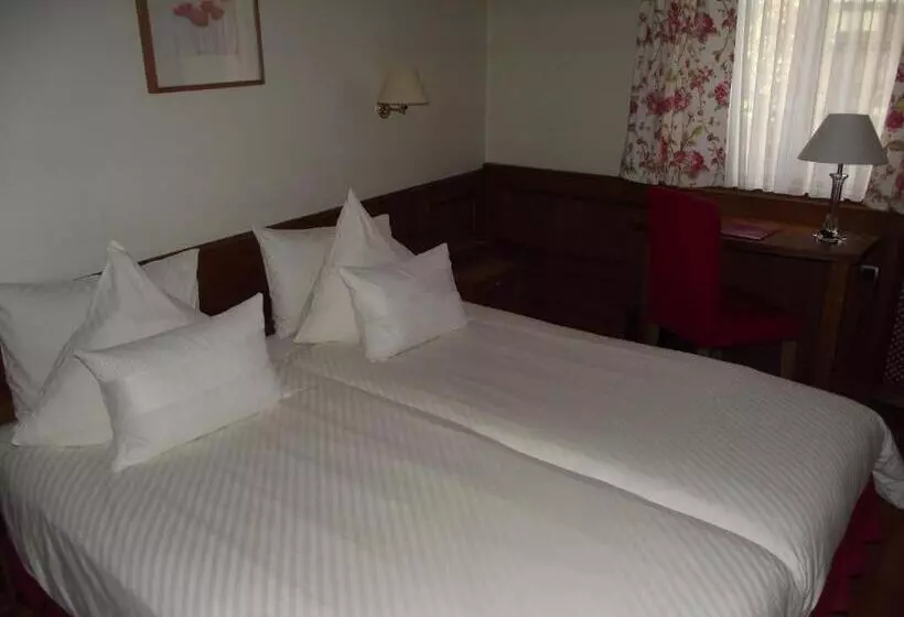 호텔 Spa Hôtel Restaurant Au Lion D Or