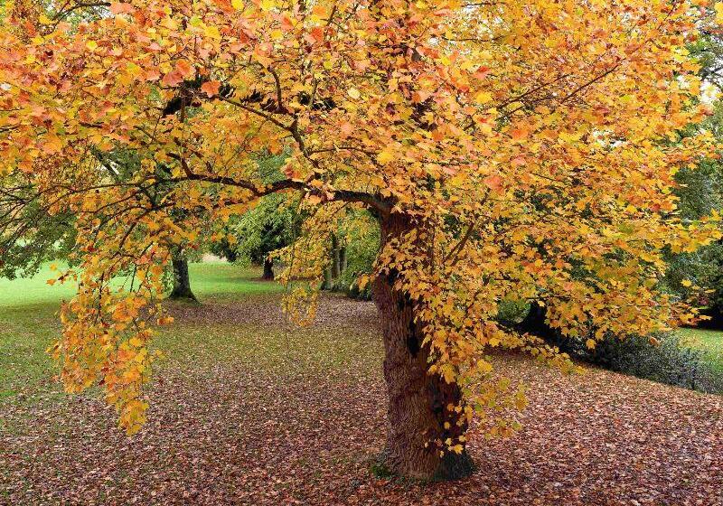 Novotel Domaine de Maffliers Paris Val D' Oise