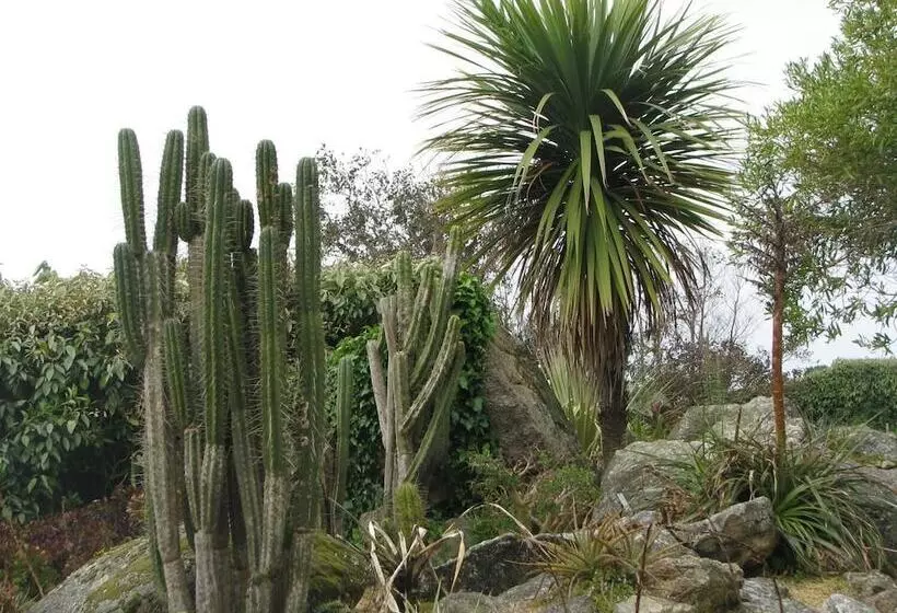 فندق Regina Roscoff