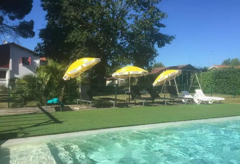 هتل Hôtel Saint Hubert