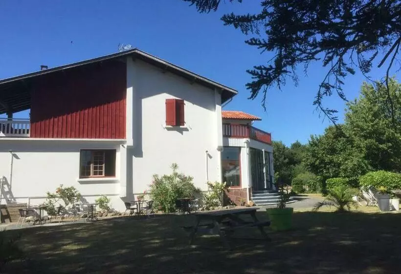 هتل Hôtel Saint Hubert