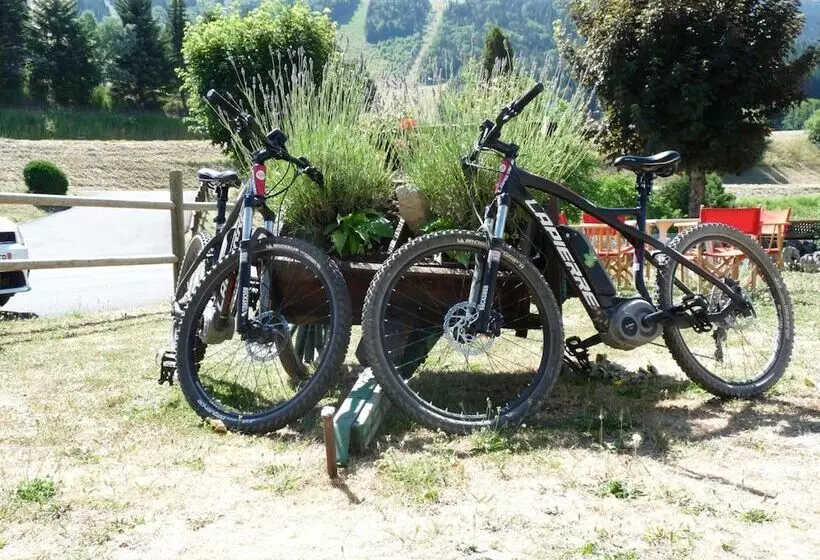 Logis Hotel Les Playes