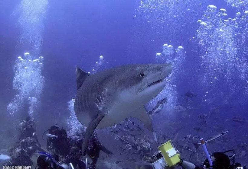 The Pearl South Pacific Resort, Spa & Golf Course