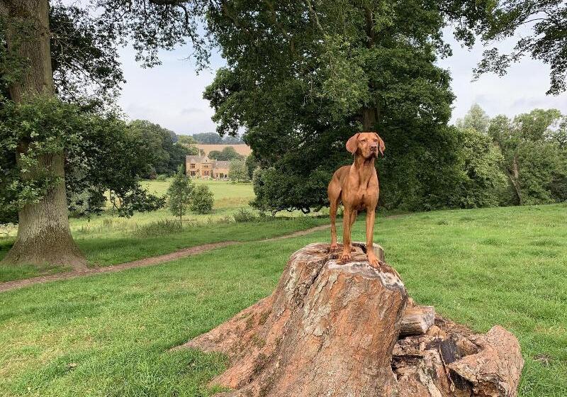 호텔 Lords Of The Manor