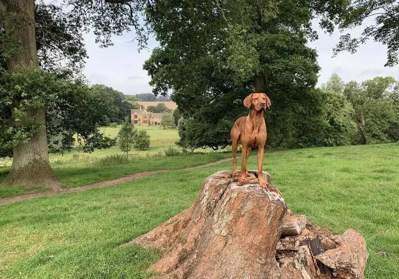 فندق Lords Of The Manor