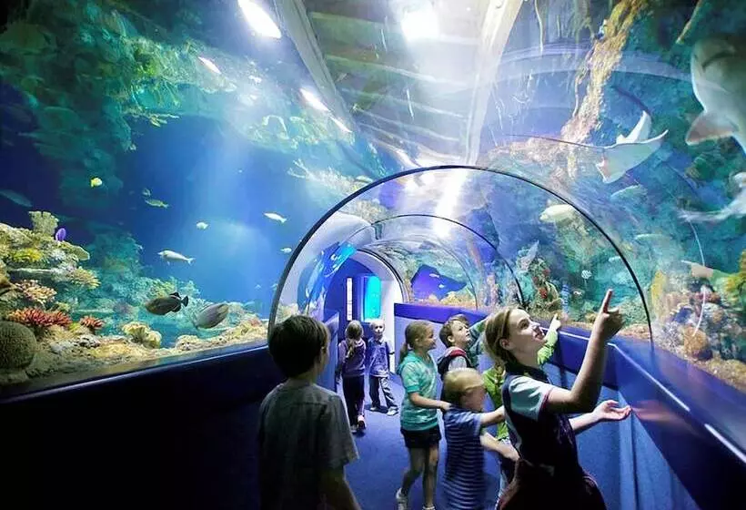 호텔 Mercure Bristol Grand