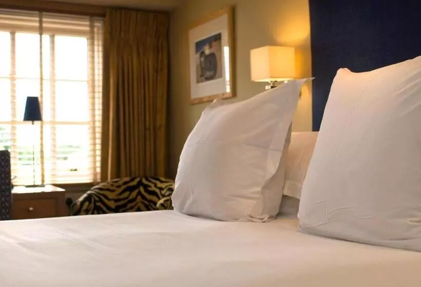 호텔 The Old Bridge