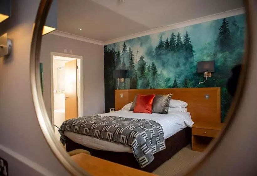 Отель The Waterloo