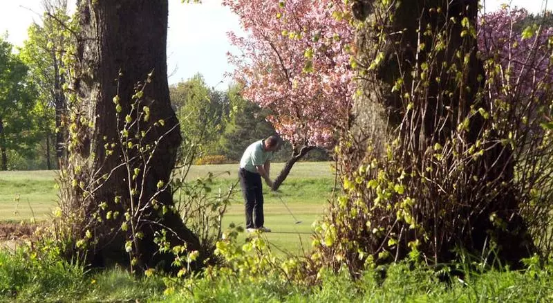 אתר נופש Green