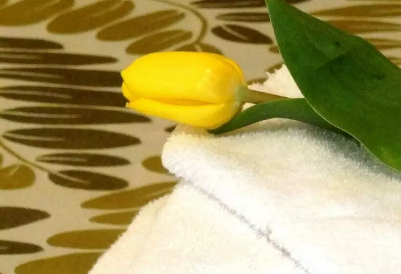 酒店 Chimney House