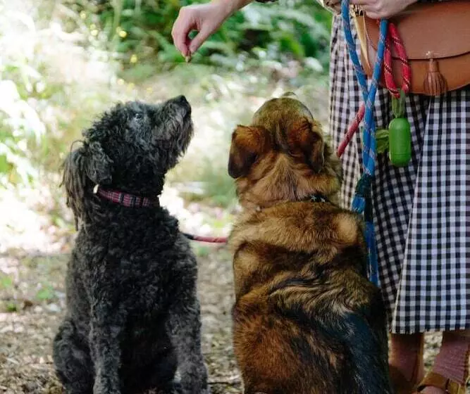 هتل Saorsa 1875 Plant Based