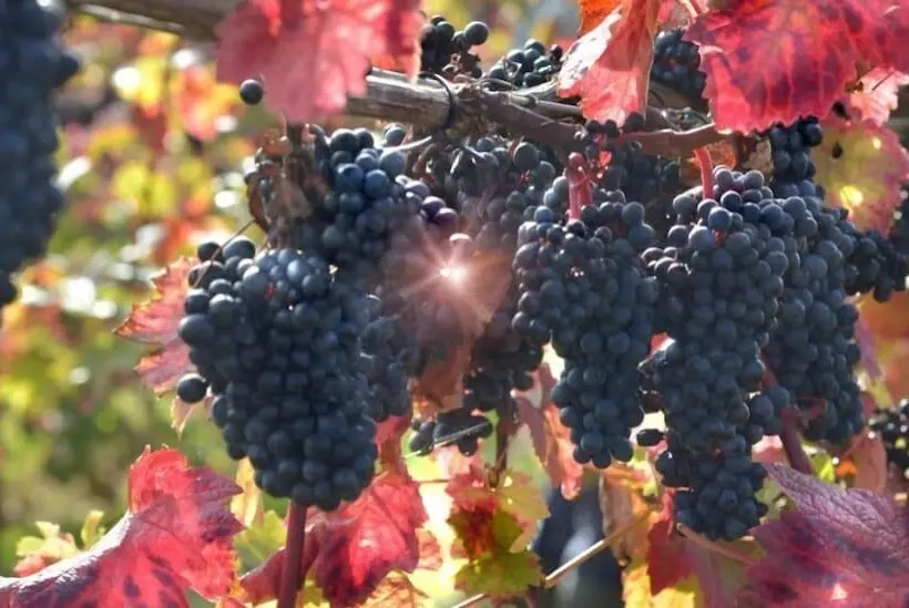 호텔 Shillingford Bridge