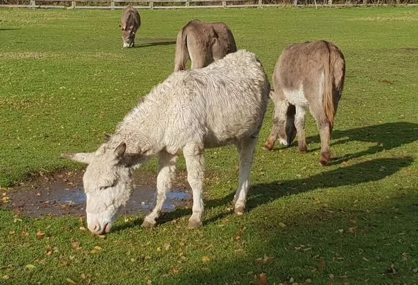 호텔 Shillingford Bridge