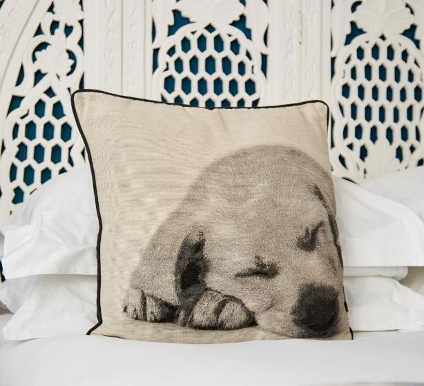 酒店 The Royal Adelaide