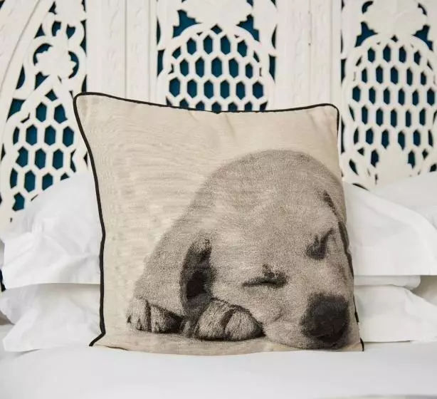 酒店 The Royal Adelaide