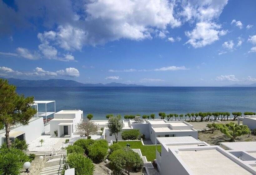 渡假胜地 Dimitra Beach Hotel & Suites