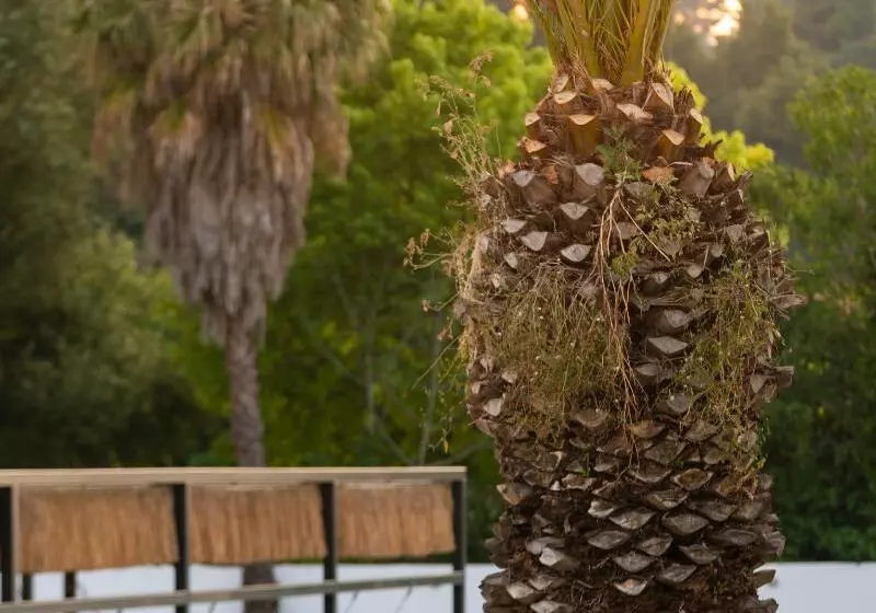 Szálloda Kassandra Palace Seaside Resort