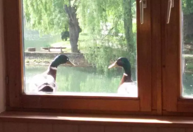 ホテル Síkfőkút