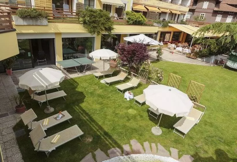 Dominik Alpine City Wellness Hotel   Adults Only