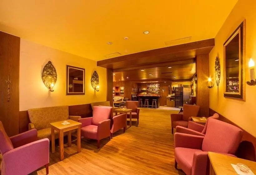 Dominik Alpine City Wellness Hotel   Adults Only