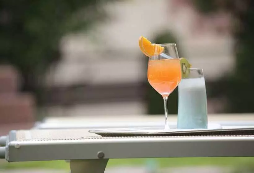 Dominik Alpine City Wellness Hotel   Adults Only