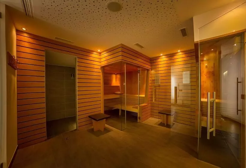 Dominik Alpine City Wellness Hotel   Adults Only