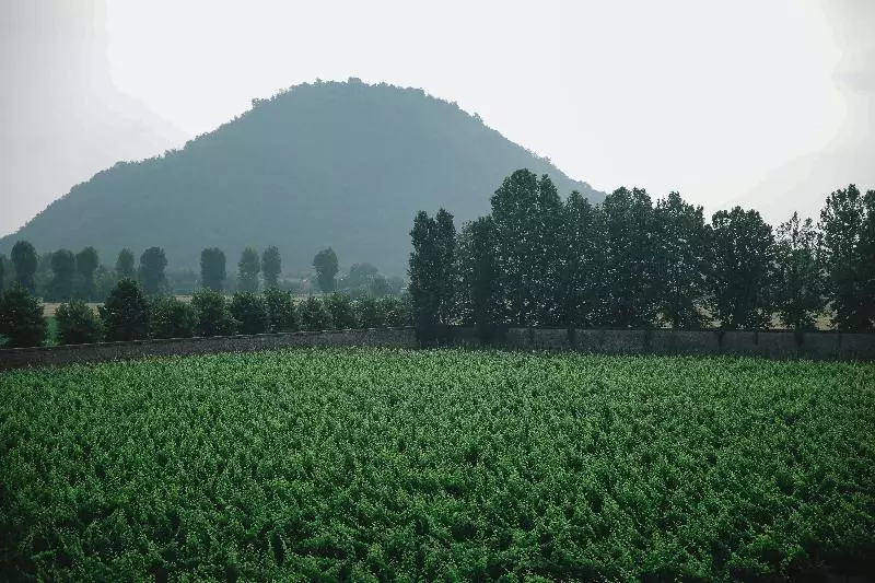 Отель President Terme