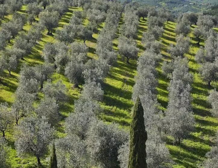 בית מלון כפרי Tenuta Di Artimino Member Of Meliá Collection Wine Resort