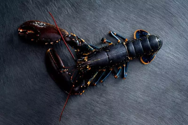 هتل The Ritz Carlton Hong Kong