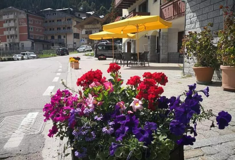 Отель Bonapace S