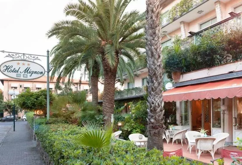 Hotel Mignon