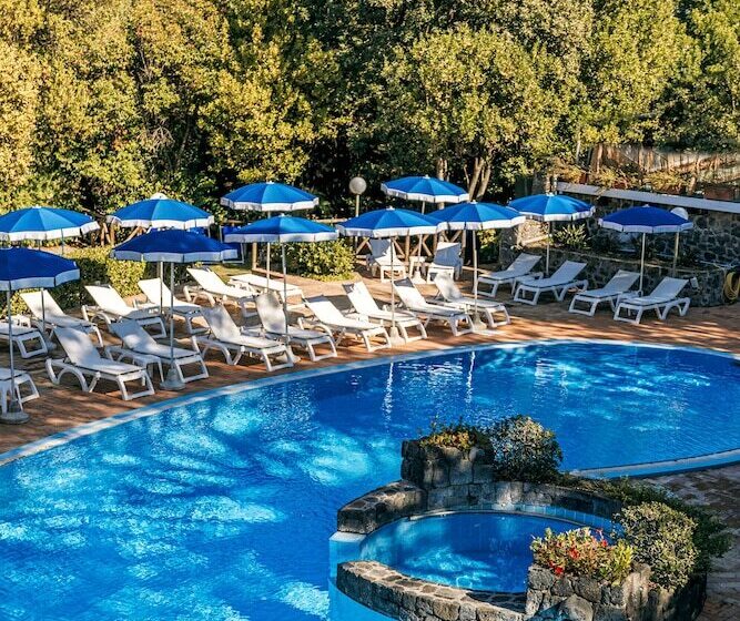 酒店 Regina Palace Terme