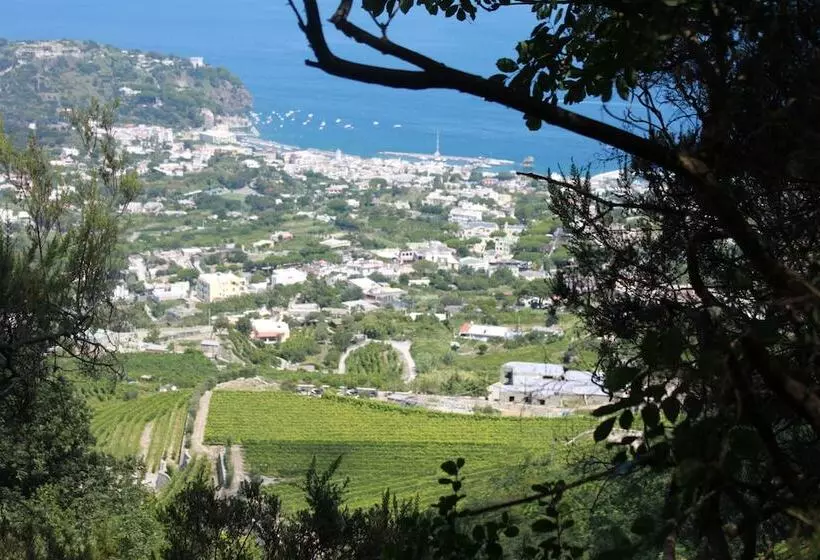 בית מלון כפרי Regina Palace Terme