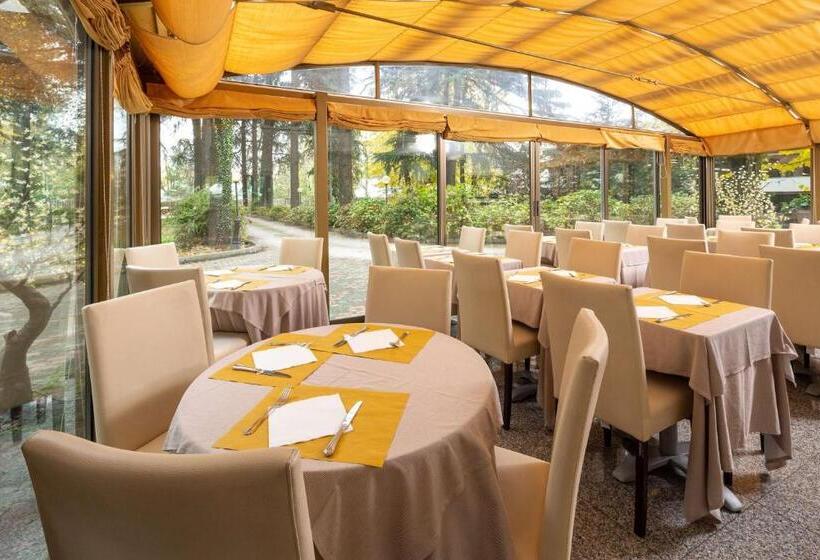 Best Western Air Hotel Linate