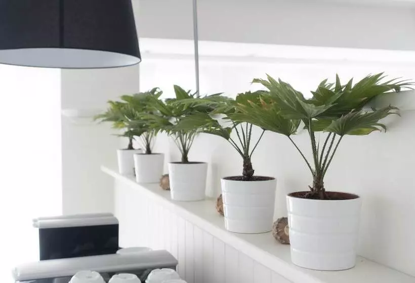 هتل Atlantic Riviera Mare