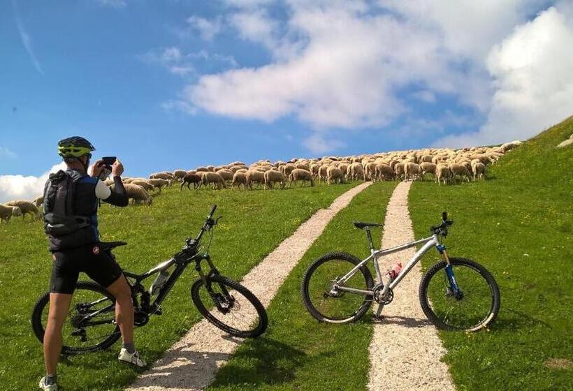 هتل Patrizia Dolomites Glamour