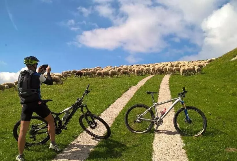 Szálloda Patrizia Dolomites Glamour