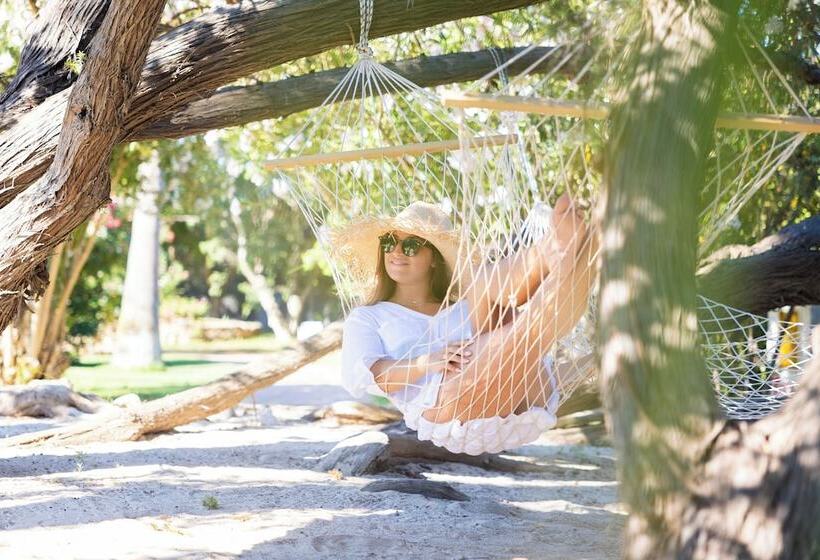 Cormoran Hotel&Residence