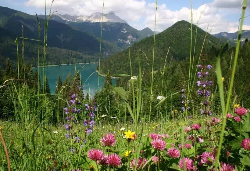 Hotel Albergo Riglarhaus