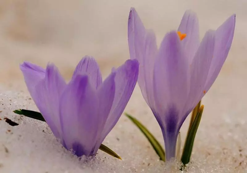 ホテル Monaco Sport