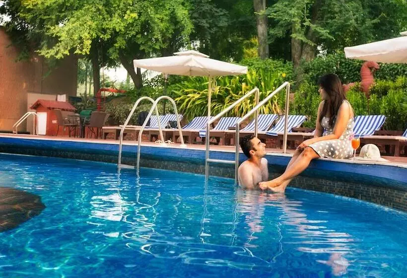 酒店 Clarks Shiraz