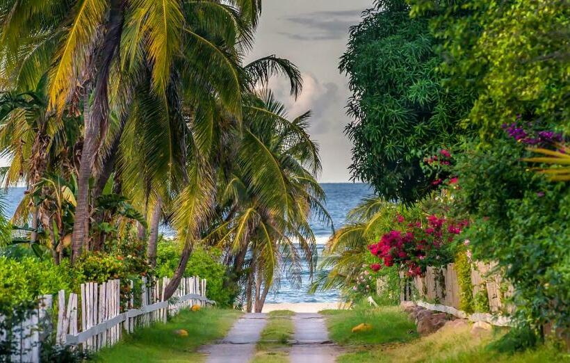 هتل Nisbet Plantation Beach Club