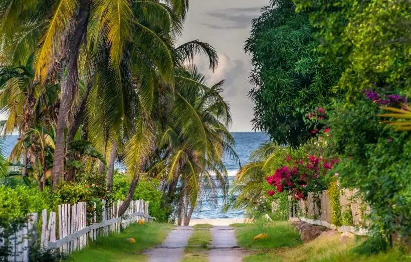 هتل Nisbet Plantation Beach Club