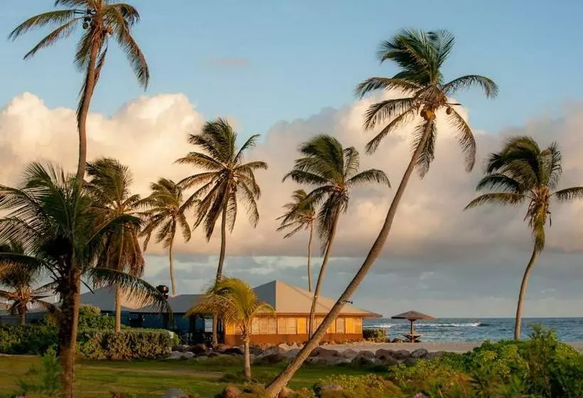 هتل Nisbet Plantation Beach Club