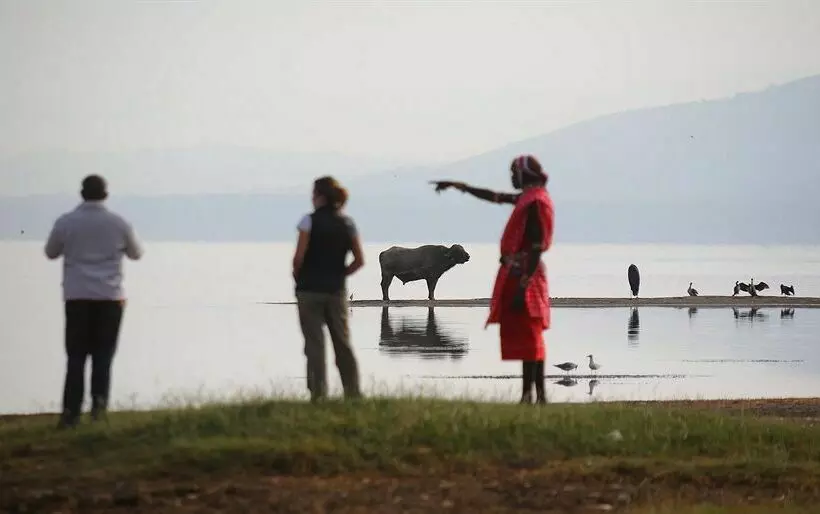 هتل Sarova Lion Hill Game Lodge 