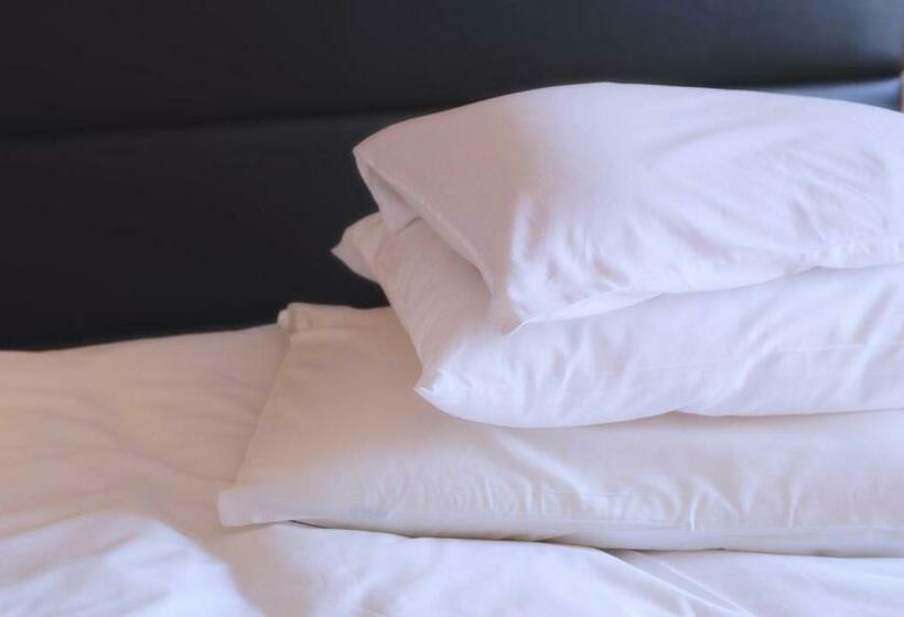 Hotelli Toyama Daiichi