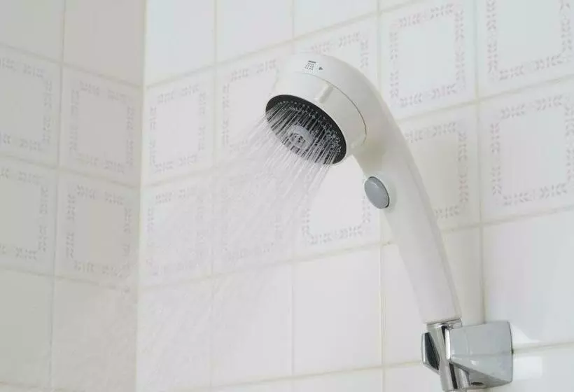 Hôtel Toyama Daiichi